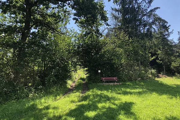 Bank auf dem Hörmannsberg