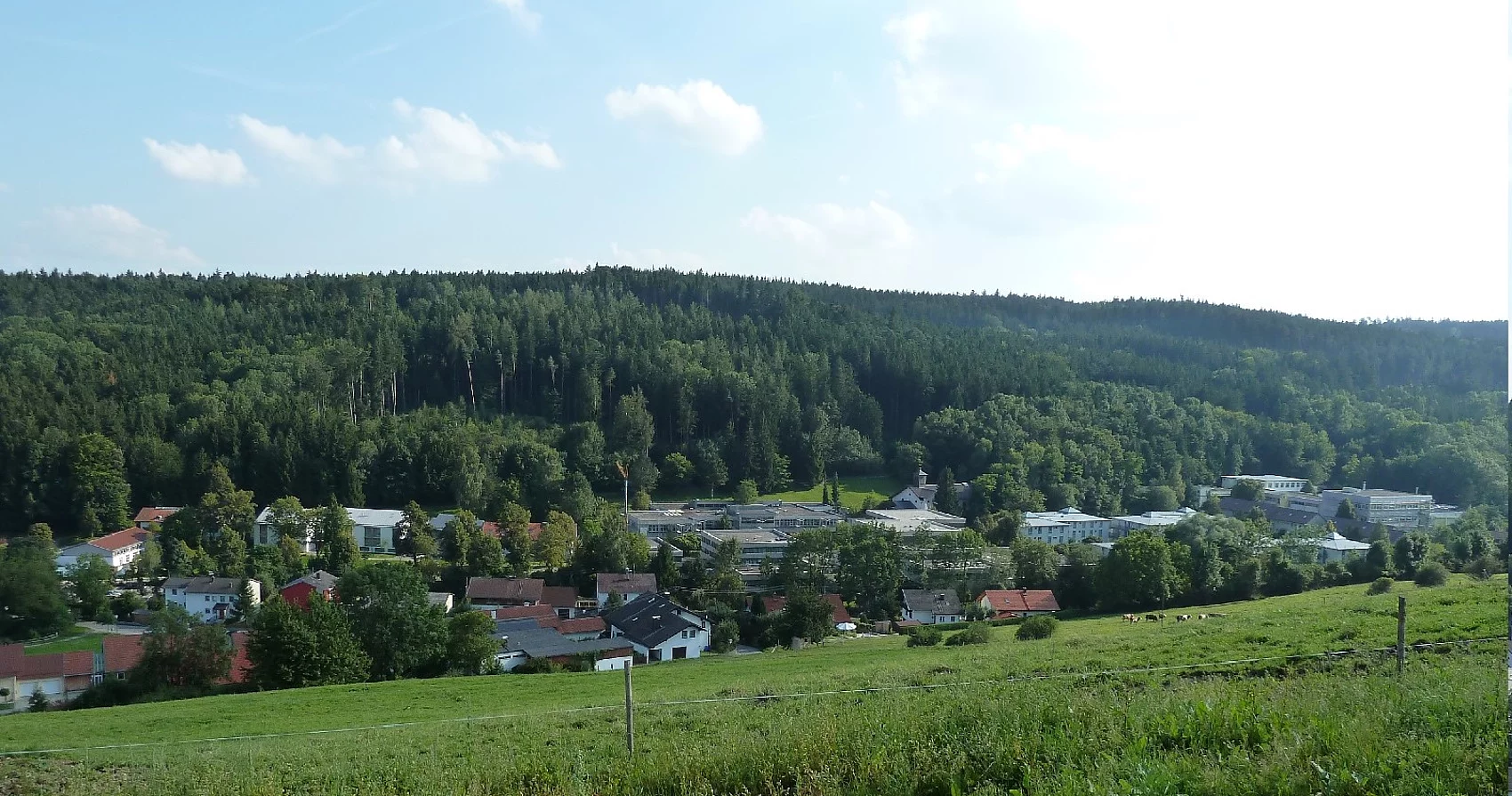 Blick auf Waldwinkel 2018