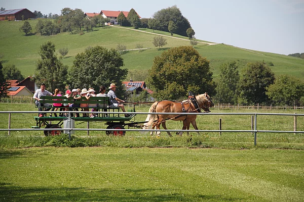 Ferienprogramm Ponyreiten
