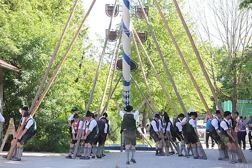 Maibaum